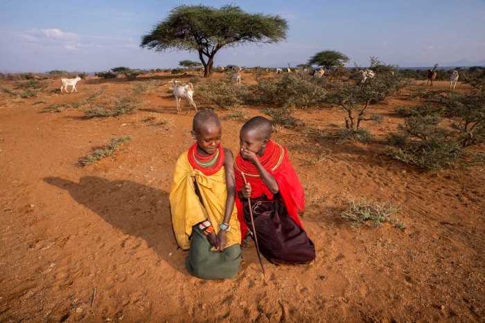 Lchekutis, los niños pastores masai